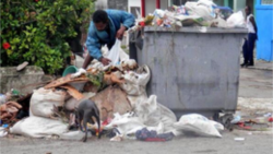 Recogida de basura en vertederos un riesgo epidemiológico