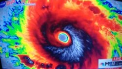 1800 Online vuelve al cibertautos en busca del ojo de Irma