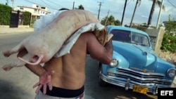 En Cuba el eje de la comida tradicional de fin de año es la carne de cerdo, pero en diciembre de 2012 una libra cuesta 30 pesos, o 7 % del salario medio mensual.