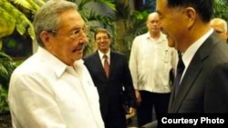 Raúl Castro recibe al viceprimer ministro de China, Wang Yang.