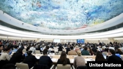 Consejo de Derechos Humanos de Naciones Unidas en Ginebra.