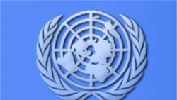 La ONU pide explicaciones al régimen cubano por la muerte de disidentes 