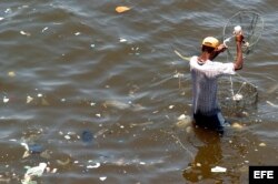 Ignorando la polución de las aguas, un hombre pesca siris (cangrejos) en la Bahía de Guanabara.