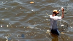 Alborada Pesca ilegal en Cuba