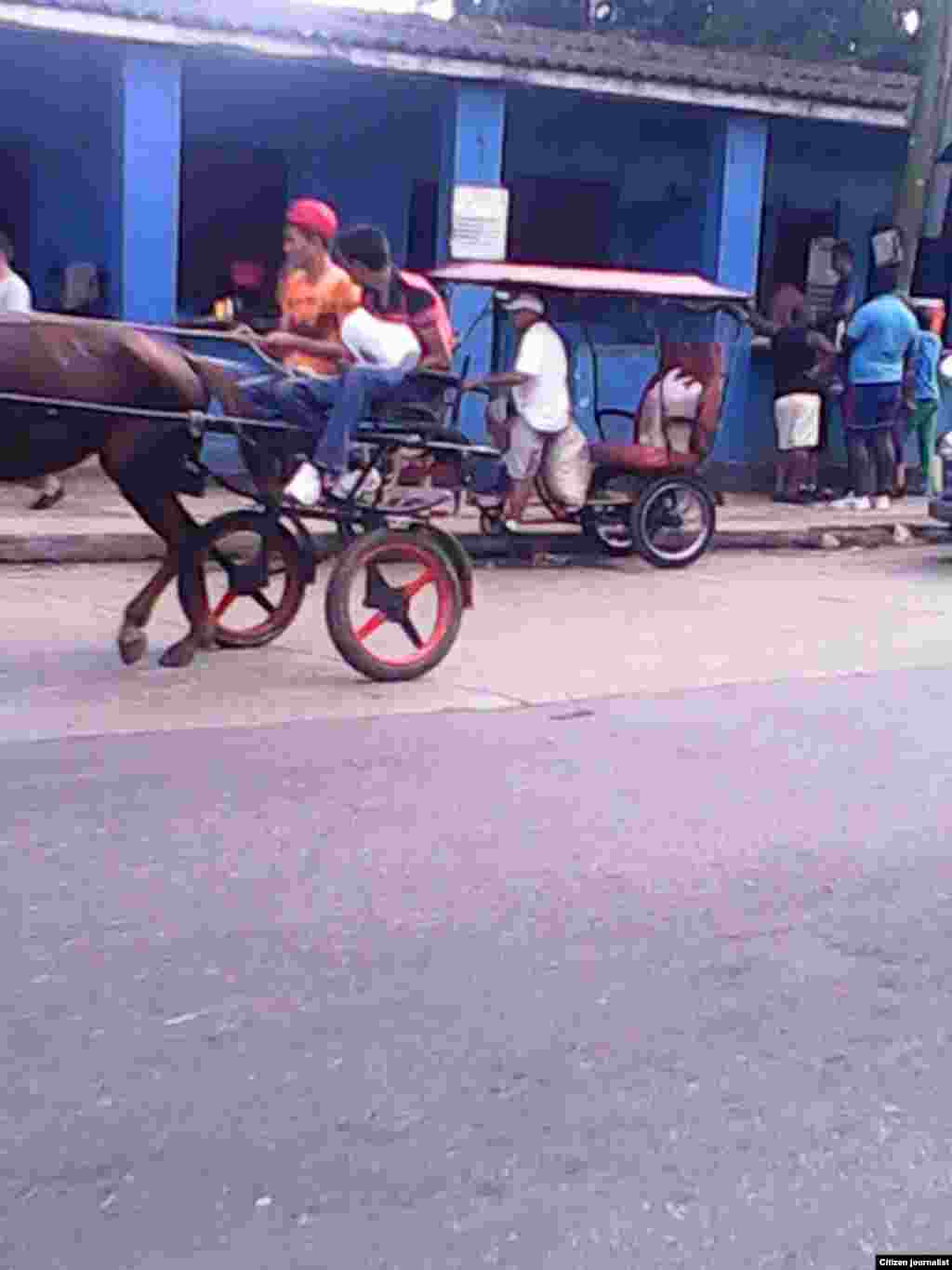 Coches tirados por caballos también suelen usarse para la transportación.