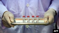 Un técnico de laboratorio muestra el sábado en el Centro Nacional de Investigaciones con Primates de Tailandia las dosis de una vacuna para prevenir el COVID-19 listaS para inoculárselas a monos (Mladen Antonov/AFP).