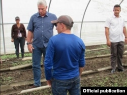 El gobernante cubano visita en Pinar del Río semilleros de tabaco afectados por el huracán Michael.