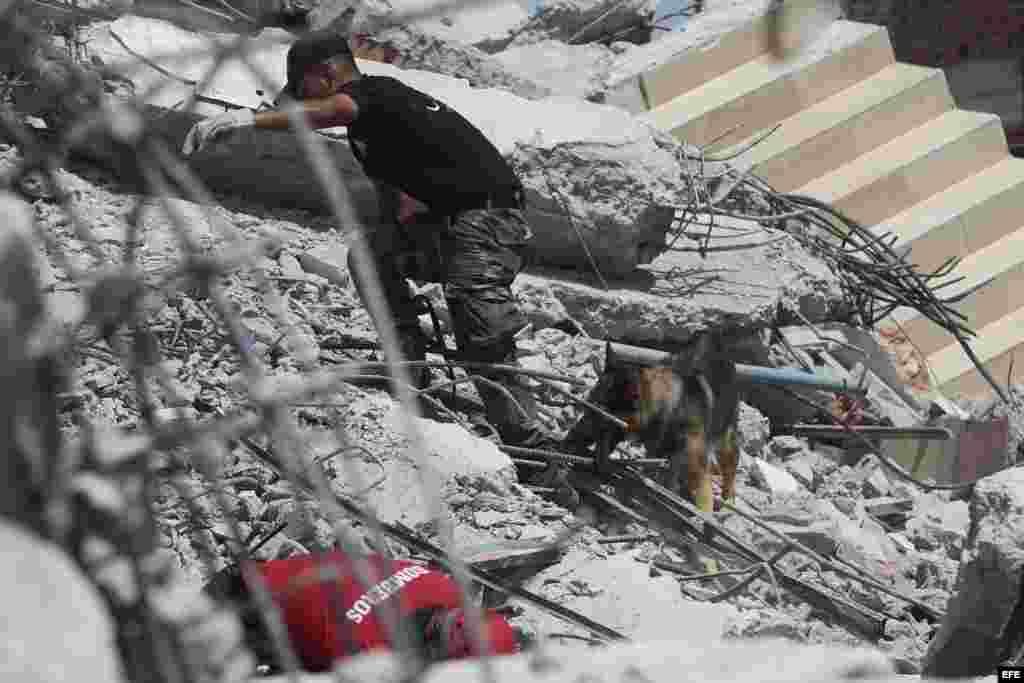 Rescatistas con perros amaestrados buscan sobrevivientes en el sector de Pedernales (Ecuador) hoy, lunes 18 de abril de 2016, tras el terremoto de 7,8 grados en la escala de Richter registrado el sábado en la costa norte de Ecuador.