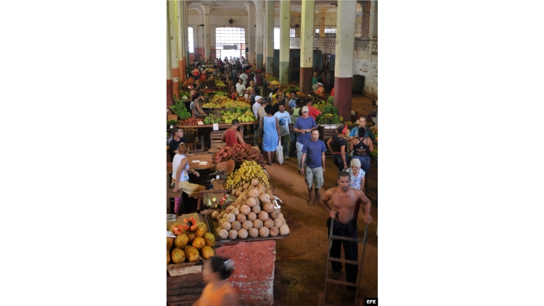 ARCHIVO. Trabajadores en un mercado ofertan sus productos.