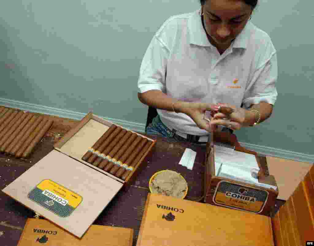 El Departamento del Tesoro de EEUU elimina restricciones al cigarro y ron cubanos. Una chica coloca los anillos distintivos a los tabacos en la fábrica Cohiba. &nbsp;
