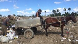 En Cuba, al parecer, la basura es lo único que crece y se desarrolla libre