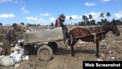 Carretones de caballos para recoger la basura en Campo Florido. (Foto Archivo: Elaine Díaz/Periodismo de Barrio)