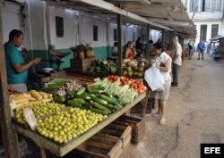 Los precios del ajo, cebolla, ají y tomate de la sazón cubana están por las nubes para el bolsillo común.