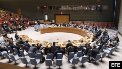 Consejo de Seguridad de Naciones Unidas. 