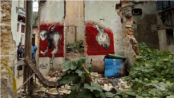 La artista Tania Bruguera se solidariza con grafitero cubano