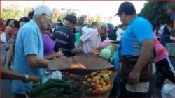 Cuentapropista vende frutas y viandas en un mercado.