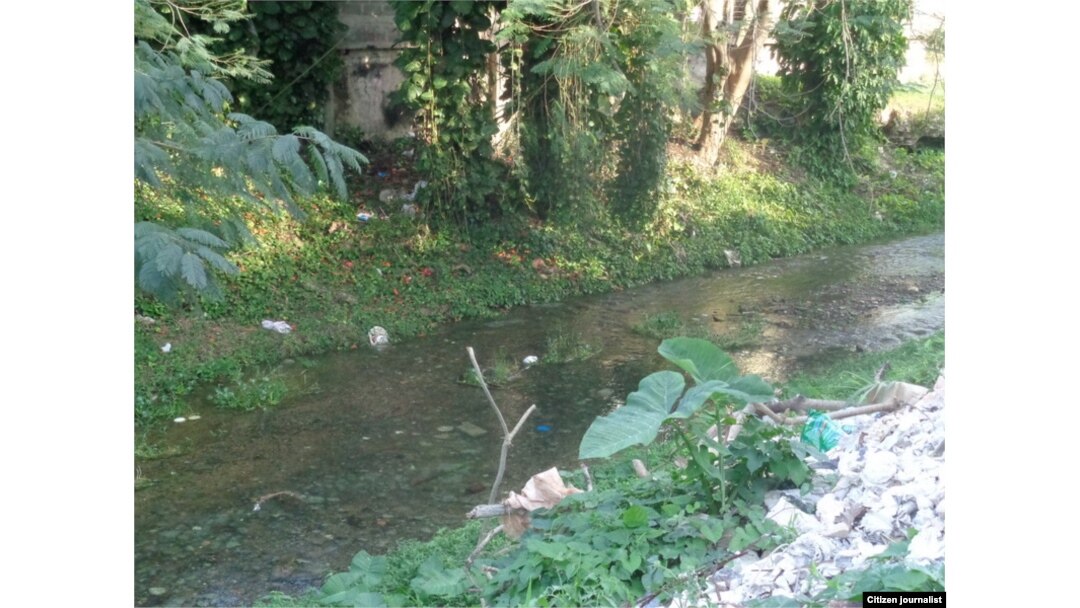 Reporta Cuba. Río Ariguanabo, Charco del Negrito, enero de 2016. Foto: Misael Aguilar.