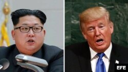 El dictador norcoreano Kim Jong-un (i) y el presidente de Estados Unidos, Donald Trump.