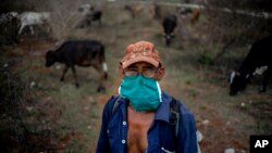 De pálidas e insuficientes califican campesinos cubanos medidas para incrementar producción de alimentos