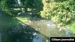 Contaminación en ríos Bélico y Yayabo