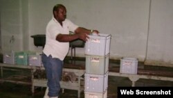 Un obrero llena cajas con bolsas de yogurt de soya. Cuba.