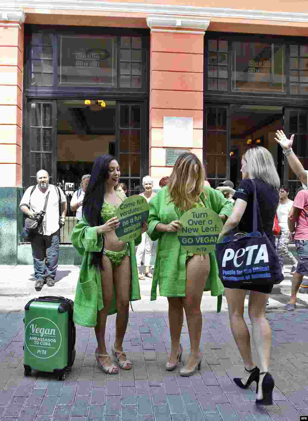 Mujeres pertenecientes a las "damas lechuga", de la ONG Personas por el Trato Ético de los Animales (PETA), lucen sus característicos bikinis verdes en una calle de La Habana.
