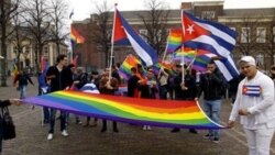 Radiografía de la Constitución - Luces y sombras de una constitución: Derechos de la comunidad LGBTI en Cuba