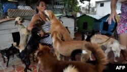 Noris Pérez tiene un refugio privado para animales en su casa en La Habana. YAMIL LAGE / AFP