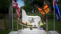 La tumba y la mariposa