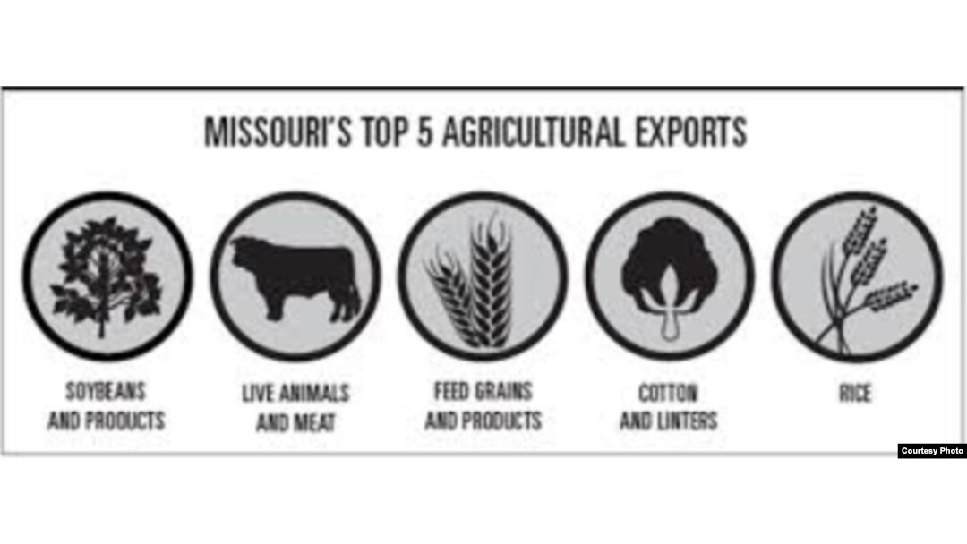 Missouri exporta soya, carnes, granos, algodón y arroz