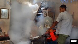 Un hombre fumiga una vivienda como parte de la campaña contra el mosquito "Aedes aegipti", transmisor del dengue. Foto de archivo