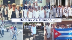 Contacto CubaContacto Cuba | Violencia contra la mujer