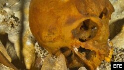 "Naia", el esqueleto más antiguo del continente.