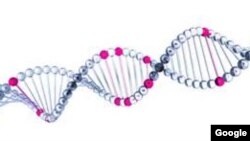 La investigación de mutaciones genéticas cancerosas fue realizada en la Universidad Libre de Bruselas.