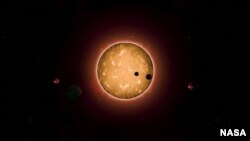 Ilustración del sistema solar Kepler-444 integrado por cinco planetas.