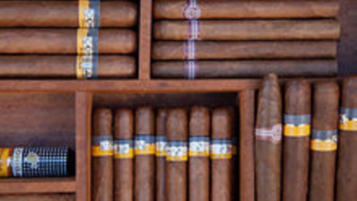 Humidor Del Poder Premium 20 puros. 12 AÑOS. 