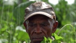 Campesinos cubanos critican la actual estructura de las cooperativas agrícolas