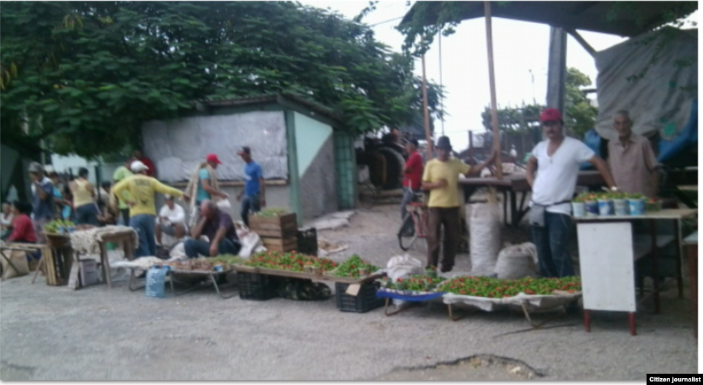 Vendedores en una plaza de Holguín. Foto Nirma Hernández para Reporta Cuba.