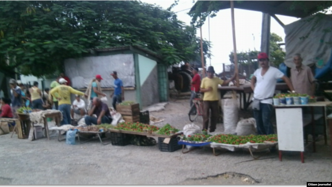 Reporta Cuba. Holguín, vendedores. Foto: Nirma Hernández.