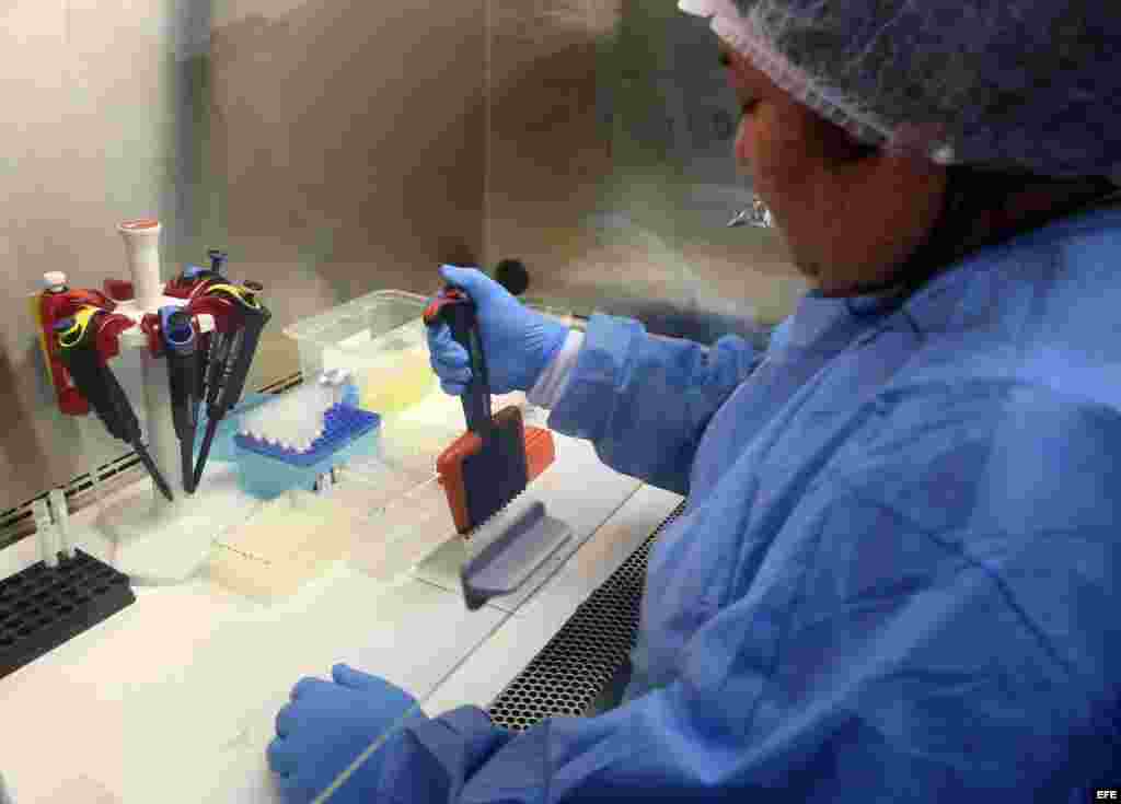 Laboratorio de enfermedades infecciosas en Perú. Un joven venezolano de 17 años que llegó a Lima por tierra es el primer enfermo de zika detectado en Perú. EFE/Ernesto Arias