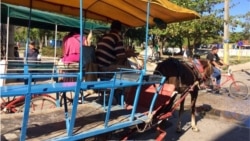 Cocheros en Banes, Holguín, dejan el paro al llegar a un acuerdo con las autoridades