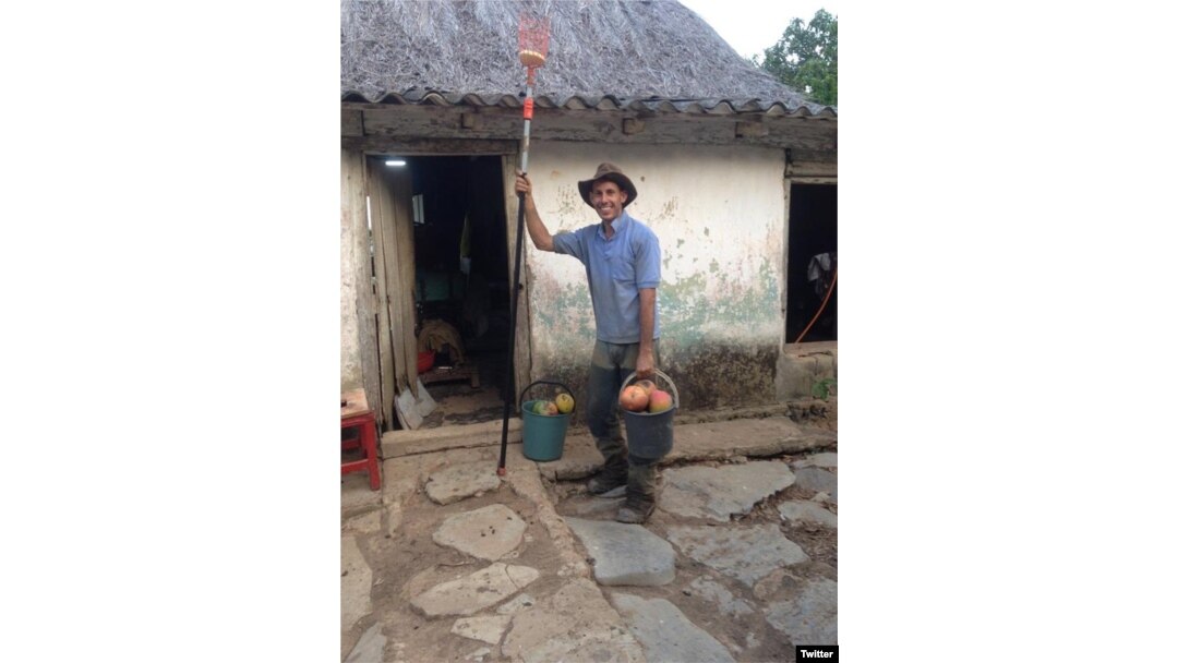 -El científico cubano Ariel Ruiz Urquiola, en su finca de Viñales.