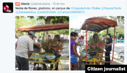 Reporta Cuba Venta de flores Foto @idaniacubana