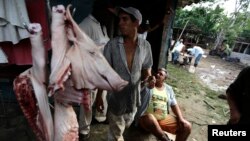 Agricultores descansan después de la matanza de un cerdo en una granja en las afueras de La Habana. (Archivo)