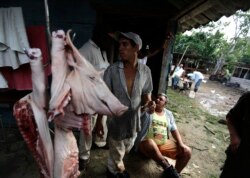 Campesinos venden carne de cerdo en una granja a las afueras de La Havana. (Archivo)