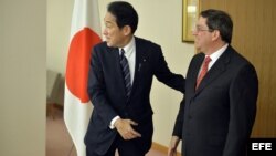 El ministro nipón de Exteriores, Fumio Kishida (izda), recibe a su homólogo cubano Bruno Rodriguez Padilla, antes de su reunión en el Ministerio de Exteriores en Tokio (Japón).