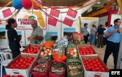 Muestra de productos agrícolas de Tampa, Florida, en la Feria Internacional de La Habana