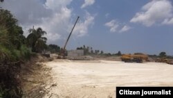 Reporta Cuba Iguanas en peligro foto José Antonio Sieres Ramallo