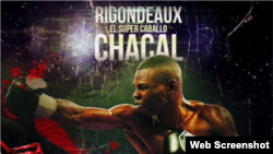 Guillermo Rigondeaux, "El Chacal".