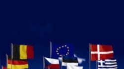 Reacciones europeas por anuncio en Ucraniana de referendo sobre el ingreso a la OTAN